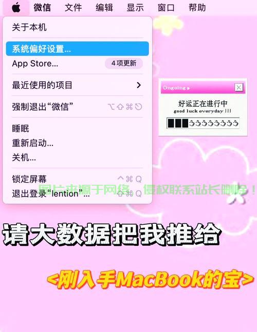 Mac用户VPS登录轻松搞定，详细操作指南 第2张