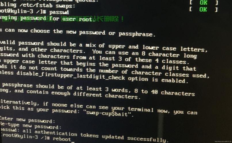 VPS命令无法执行问题解析与解决方案全攻略 第1张