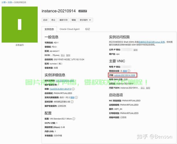 日本甲骨文VPS，云端服务的新焦点探索 第2张