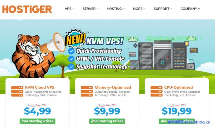 震撼！超低价优质VPS，每月仅需不到十元！ 第1张