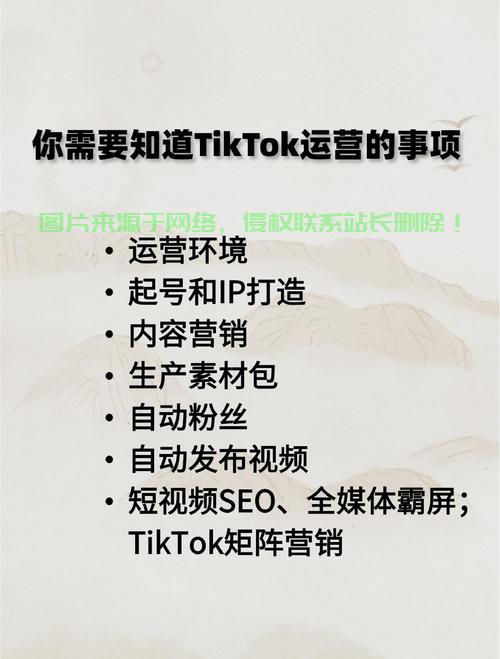 VPS电脑端助力TikTok运营，高效便捷之选！ 第3张