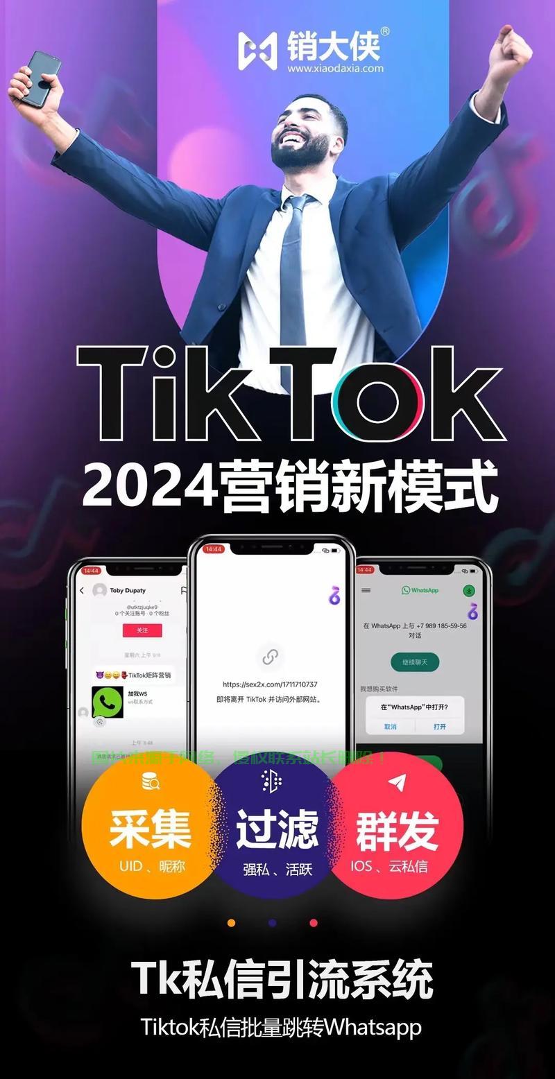 VPS电脑端助力TikTok运营，高效便捷之选！ 第1张