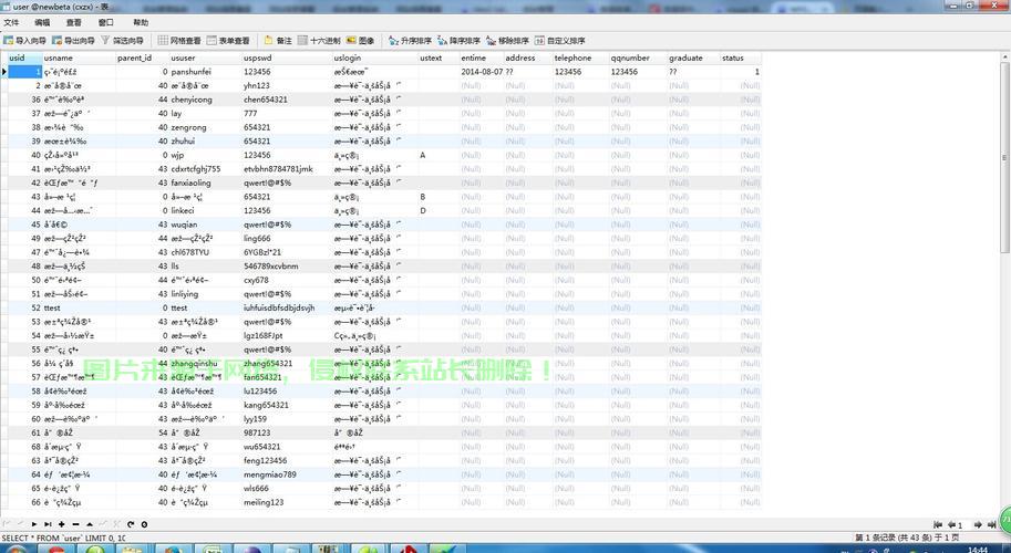 一天体验VPS，高效稳定，你值得拥有！ 第3张