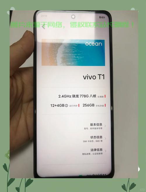 Vivo手机VPS配置秘籍，网络优化设置轻松搞定！ 第3张