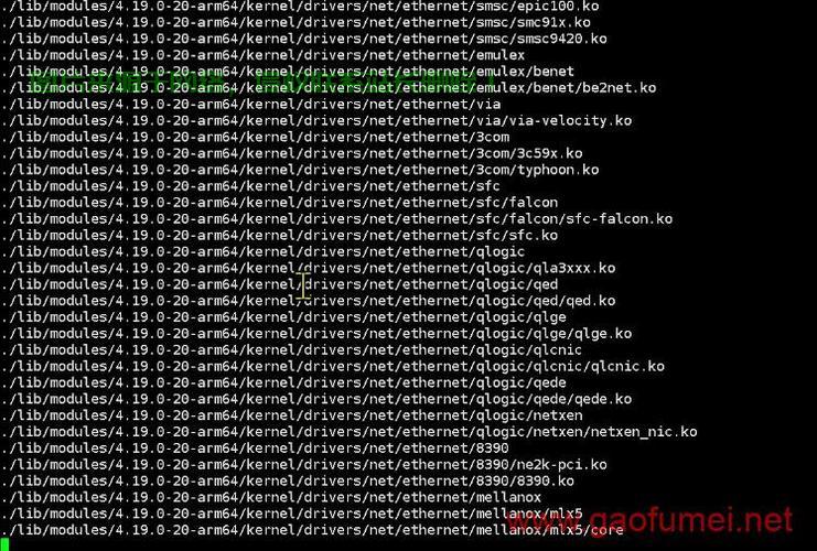 甲骨文VPS携手Netflix揭秘，云端盛宴背后的独家合作解密 第2张