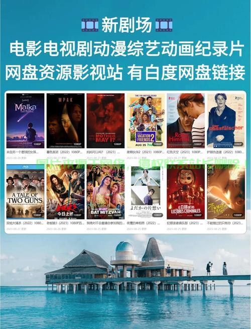 VPS影视网站搭建指南，打造专属影视平台，轻松上手！ 第3张