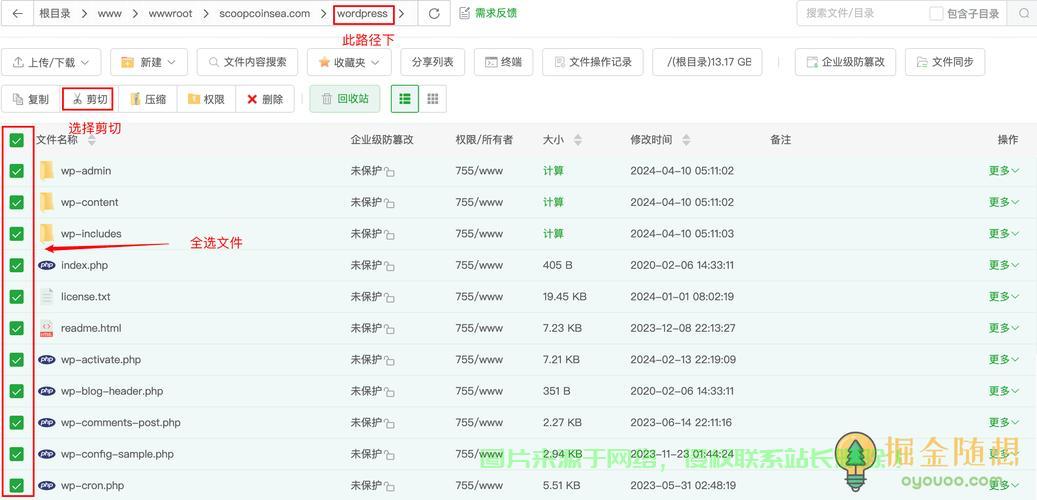 安卓VPS搭建秘籍，轻松实现远程服务器管理的终极指南！ 第3张