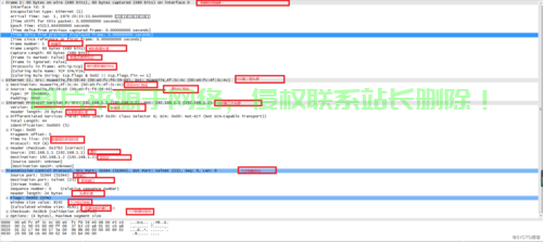 IPv6 VPS入门指南，轻松体验新一代网络协议的魅力 第2张