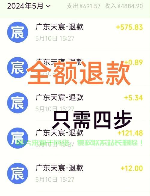 搬瓦工VPS退款全攻略，步骤详解与注意事项一网打尽！ 第1张
