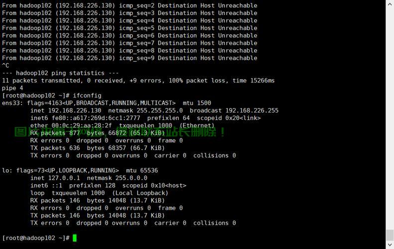 VPS无法连接Xshell？解决连接故障实战指南 第2张
