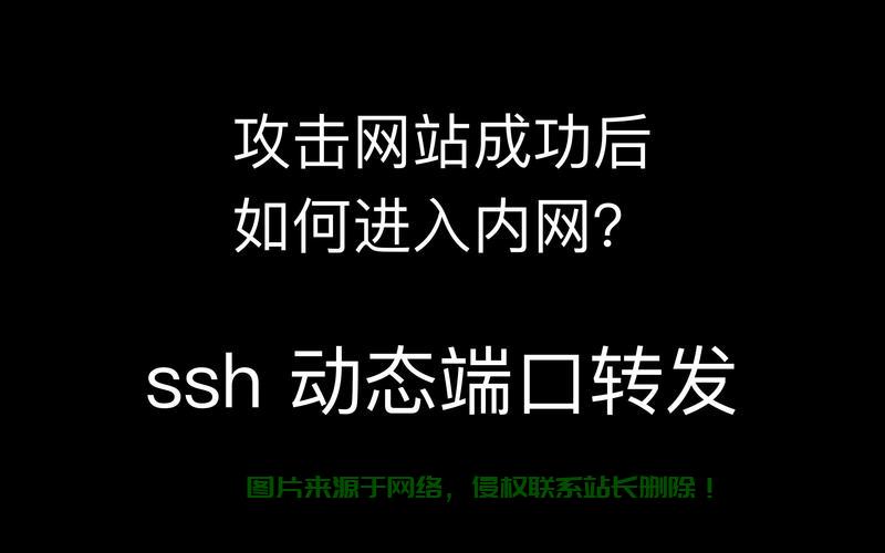 VPS端口转发加速脚本，一键提升网络速度！ 第2张