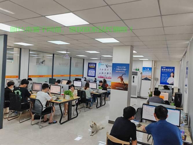 熟练VPS操作与文员职位的匹配度解析，能否胜任文员工作？ 第3张