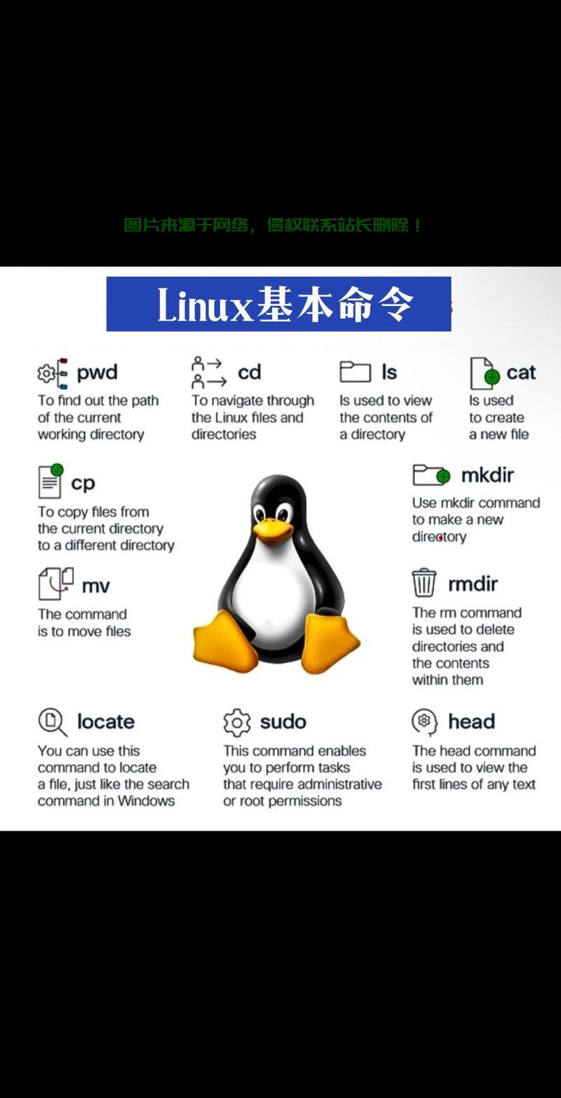 在 Linux 系统中，可以通过 Shell 命令查看、设置和管理系统时间。以下是一些常用的时间相关操作，如何在Linux中轻松掌握时间管理？这些Shell命令你不可不知！，Linux时间管理神器，这些Shell命令你都会用吗？ 第2张
