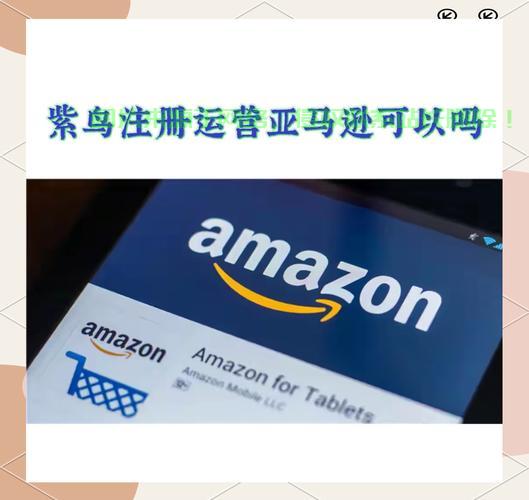 紫鸟与VPS,亚马逊电商工具之战! 第3张 紫鸟与VPS,亚马逊电商工具之战! 第3张