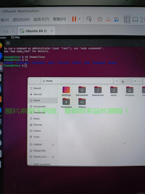 Linux VPS上运行exe文件，探究跨平台执行的可能性与挑战 第2张