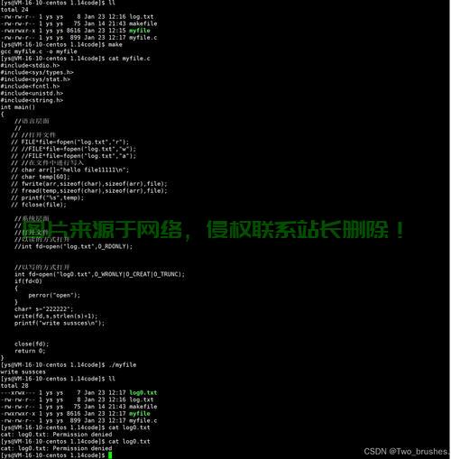 Linux VPS上运行exe文件，探究跨平台执行的可能性与挑战 第3张