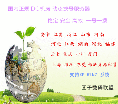 动态拨号VPS代理服务，高效连接，开启新时代的网络通道新纪元 第1张