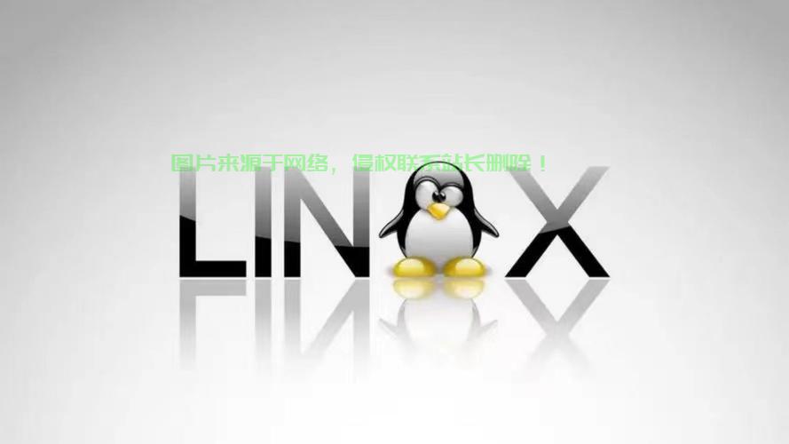 Linux与GNU，自由软件运动的基石与未来，Linux与GNU，谁才是自由软件运动的真正灵魂？，Linux与GNU，谁才是自由软件运动的真正灵魂？ 第1张