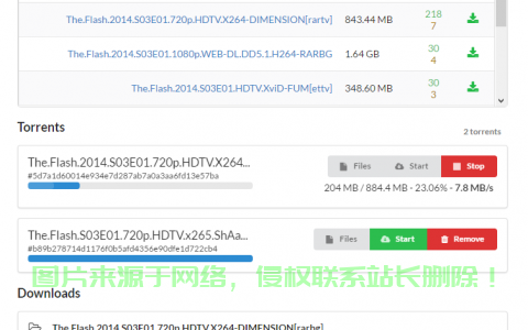 独家分享，VPS上的BT下载终极秘籍！ 第1张