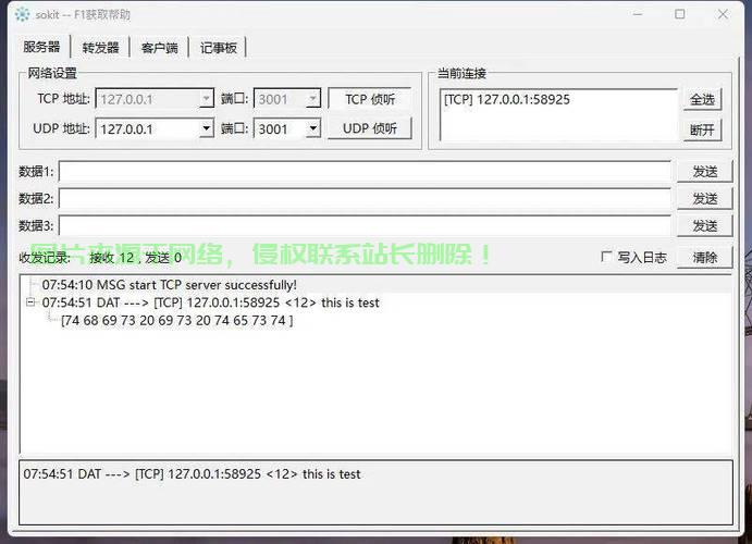 NAT VPS SS UDP转发解析，构建高效数据传输通道实战指南！ 第1张