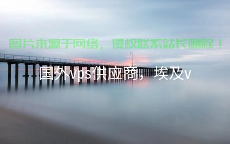 探寻顶级VPS供应商，专业可靠的选择指南，让你的业务飞速前行！ 第1张