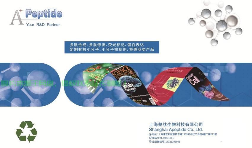 VPS，高效、安全与灵活的应用体验解析及强大功能揭秘 第3张