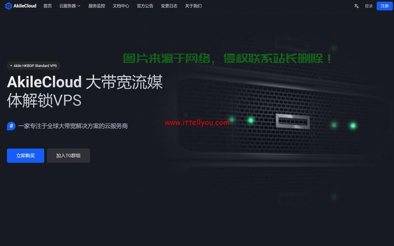 托管与非托管VPS，特点与差异深度解析 第3张