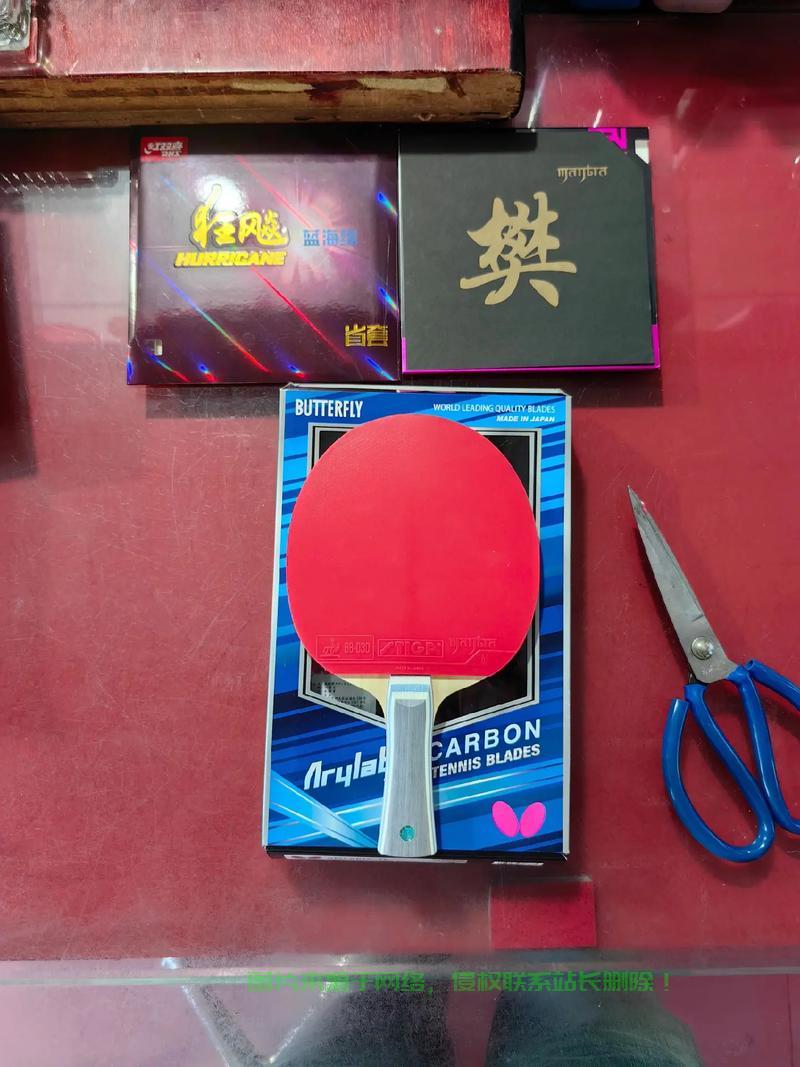 掌握乒乓球拍VPS技术核心，实战技巧大揭秘！ 第2张