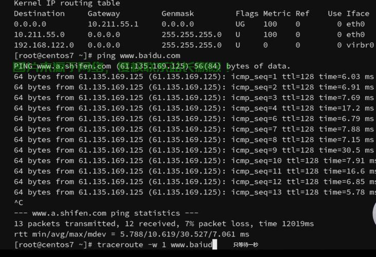 Linux VPS域名解析全攻略，步骤、技巧与注意事项详解 第3张