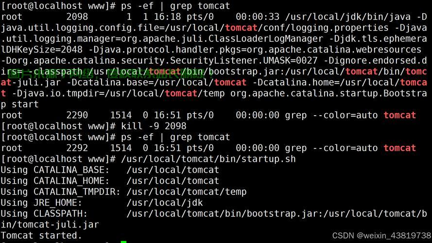 在Linux系统上部署多个Tomcat服务器可以通过以下步骤实现，主要涉及环境配置、端口修改和启动管理。以下是详细指南，如何在Linux系统上高效部署多个Tomcat服务器？，如何在Linux系统上高效部署多个Tomcat服务器？