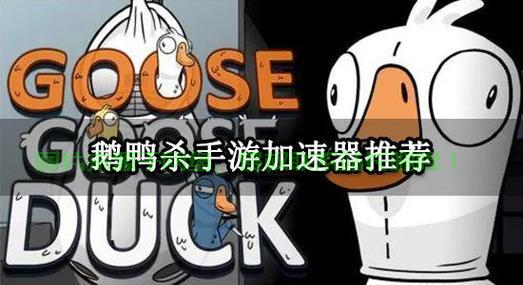 怎么看鹅鸭杀哪个服务器?