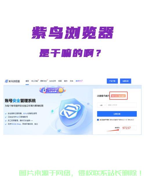 紫鸟游览器VPS功能详解，安全、隐私、畅游网络！