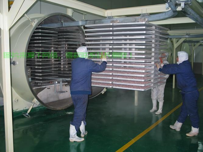 冻干机房工作怎么样？