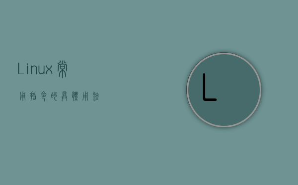 Linux常用指令的具体用法 - 技术分享 - 云服务器