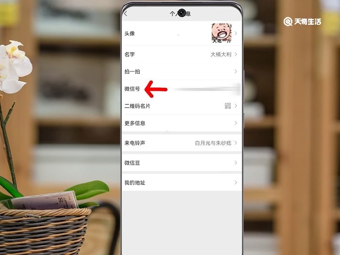 微信号为什么改不了