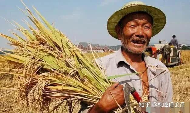 粮食危机房价怎么样