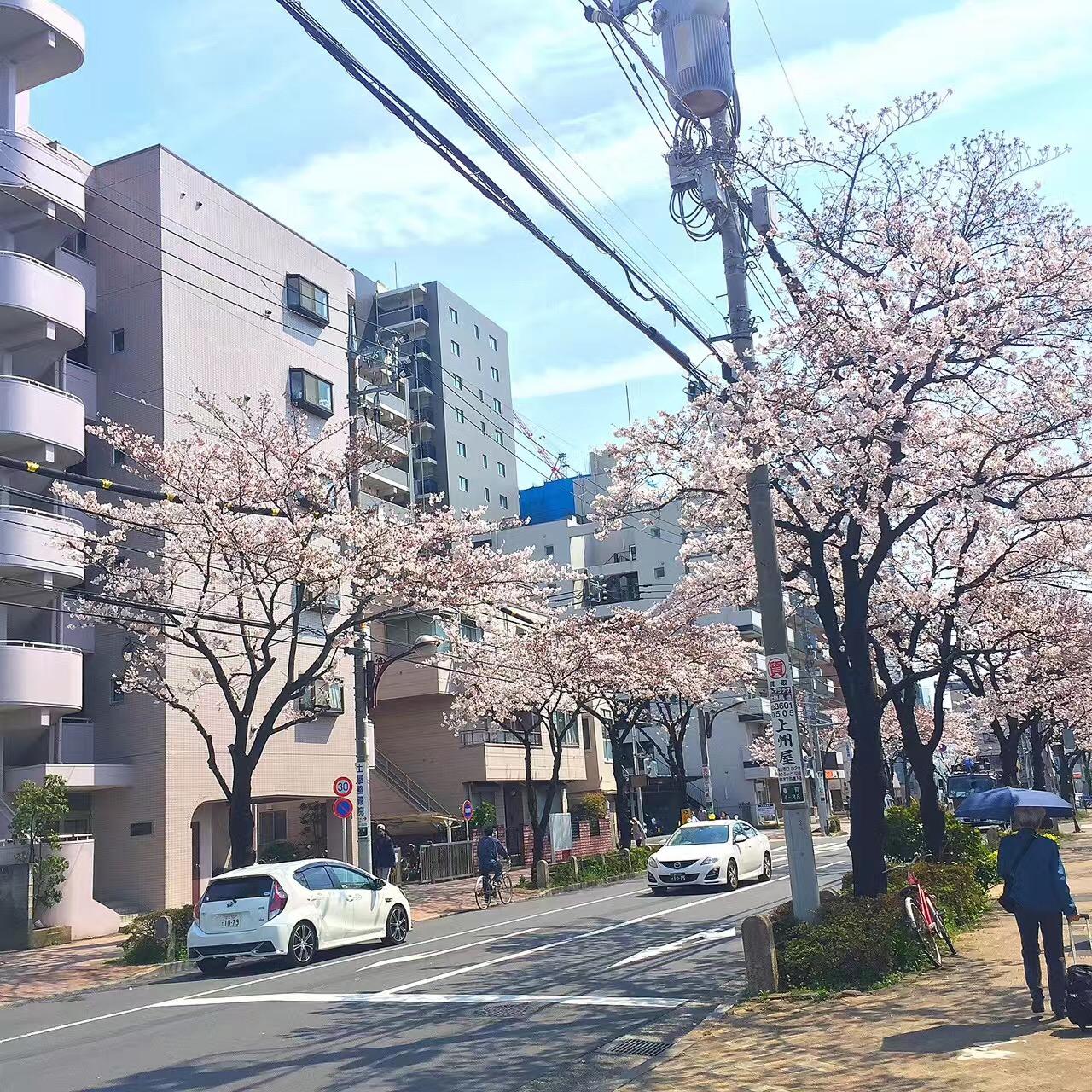 日本住飞机房怎么样