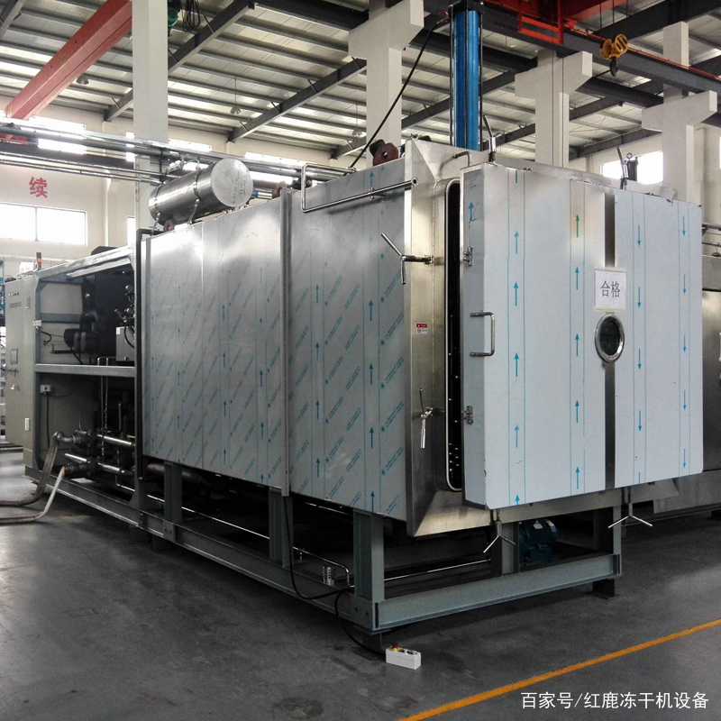 冻干机房工作怎么样