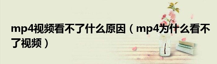 为什么视频看不了