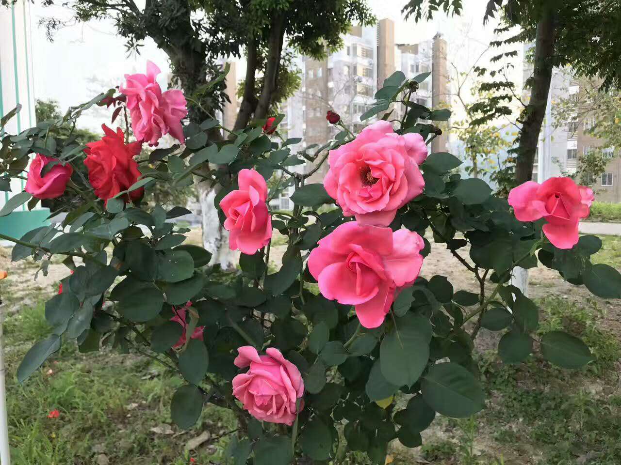 莆田学院的机房怎么样啊