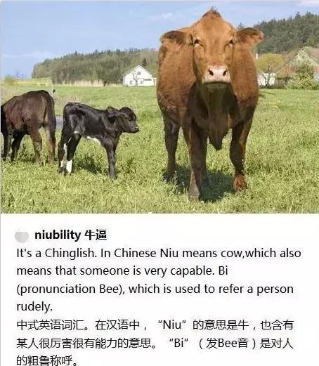 怎么样形容机房牛逼