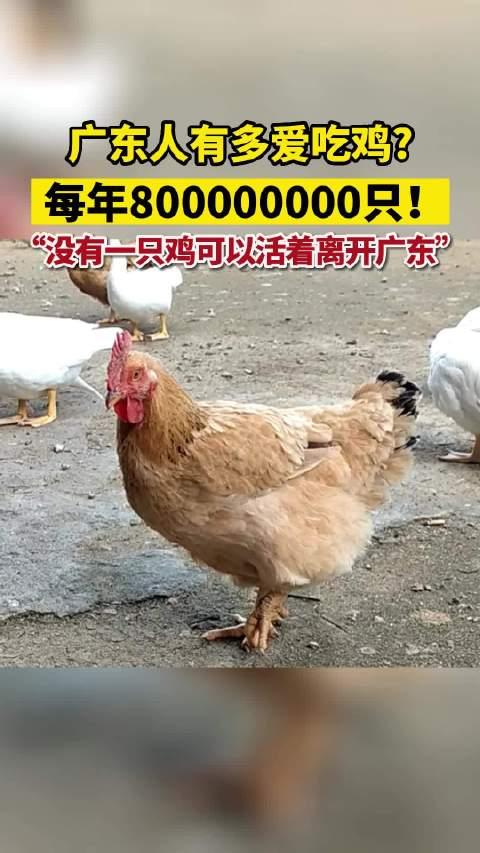 吃鸡怎么样算刷人机房