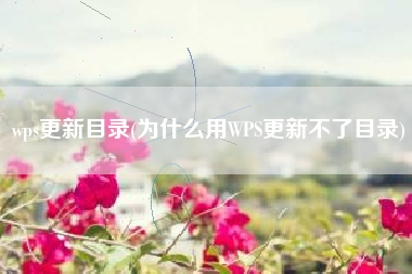 为什么无法更新目录