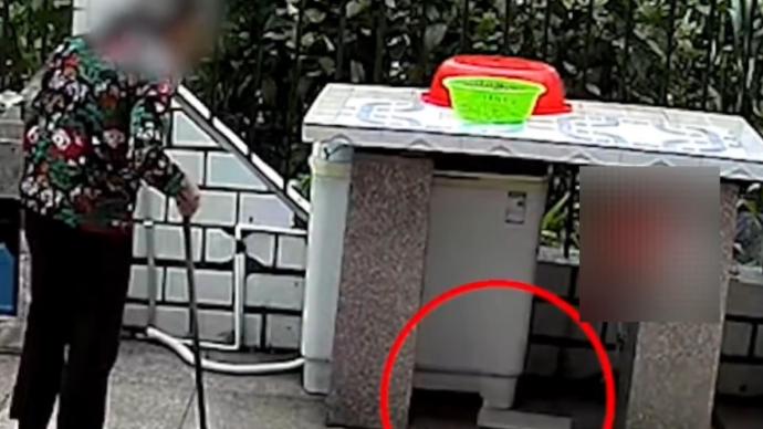 狗狗关洗衣机房会怎么样